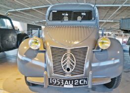 014 - jüngere jahrgänge